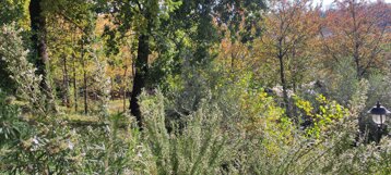 f55e90b8-41b6-4e58-bd0d-cec68669373a