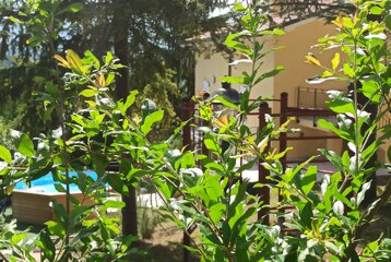 cdd7a8af-1066-4a0e-b891-3825376a660a cdd7a8af-1066-4a0e-b891-3825376a660a