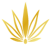 agave agave