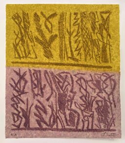 371d7a7e-2cc6-4265-a7ad-703e29551556 371d7a7e-2cc6-4265-a7ad-703e29551556