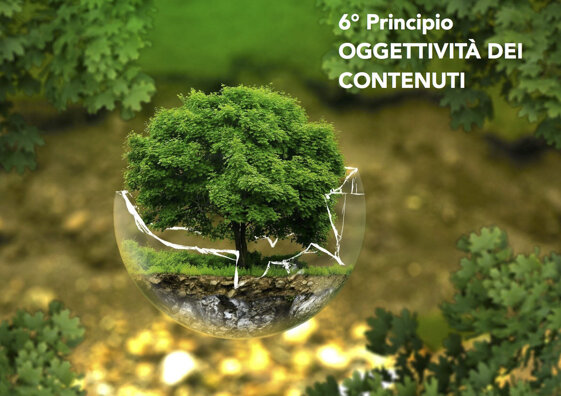 e1b19be3-9770-412f-838a-37b48f26d87d e1b19be3-9770-412f-838a-37b48f26d87d