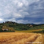 farina-di-farro-biologica-macinata-a-pietra