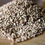 lenticchie-di-montemurlo