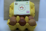 uova-felici