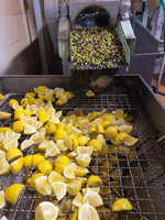 condimento-di-limoni-e-olive-bio