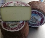 pecorino-fiore-di-tuscia