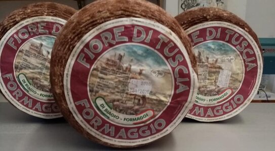 7c0a05e0-3a65-4a92-b0f7-7eae141bd7ed 7c0a05e0-3a65-4a92-b0f7-7eae141bd7ed