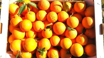 ea2c42f9-12a2-4d91-bca8-eaeebd8b46c3