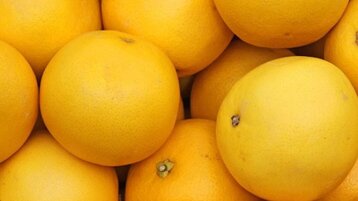 86183f21-a803-472e-aa59-0a9360bbde95