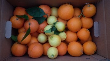 b05c46de-0ba6-441c-8307-d9e766a1e3f5