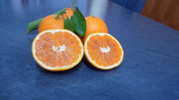 6365c280-4d76-44e4-8c4a-b9e527a0583c