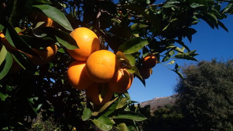 a270e420-faf7-4088-bac8-b85ff254fb92 a270e420-faf7-4088-bac8-b85ff254fb92