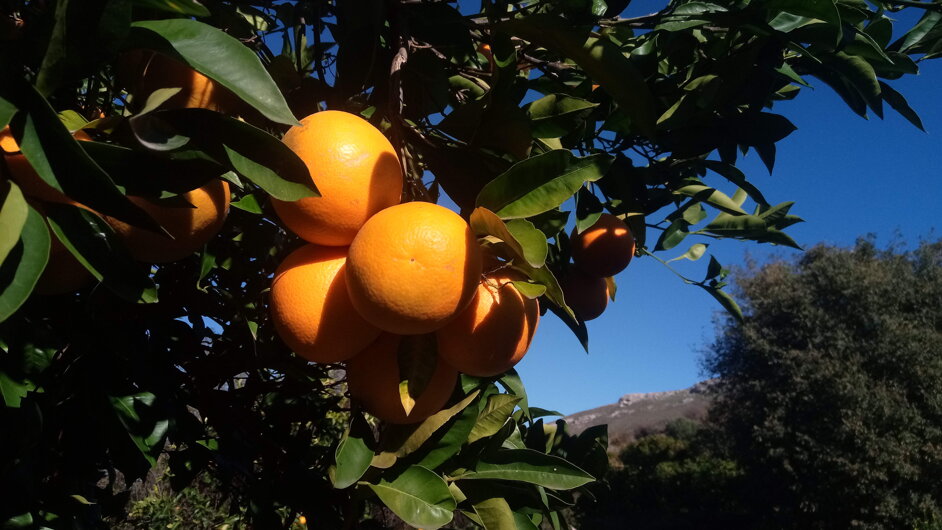 b976cec8-ee26-476b-a4ac-78c37e019404 b976cec8-ee26-476b-a4ac-78c37e019404