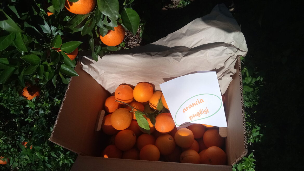 e32c7028-744e-439f-8bb1-1aeca69b35c3