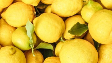 d43a13a9-b499-4f79-a280-d784b791ad68