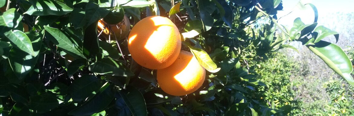 4691d68b-56e7-4c58-a53b-6e82c38db2ab 4691d68b-56e7-4c58-a53b-6e82c38db2ab