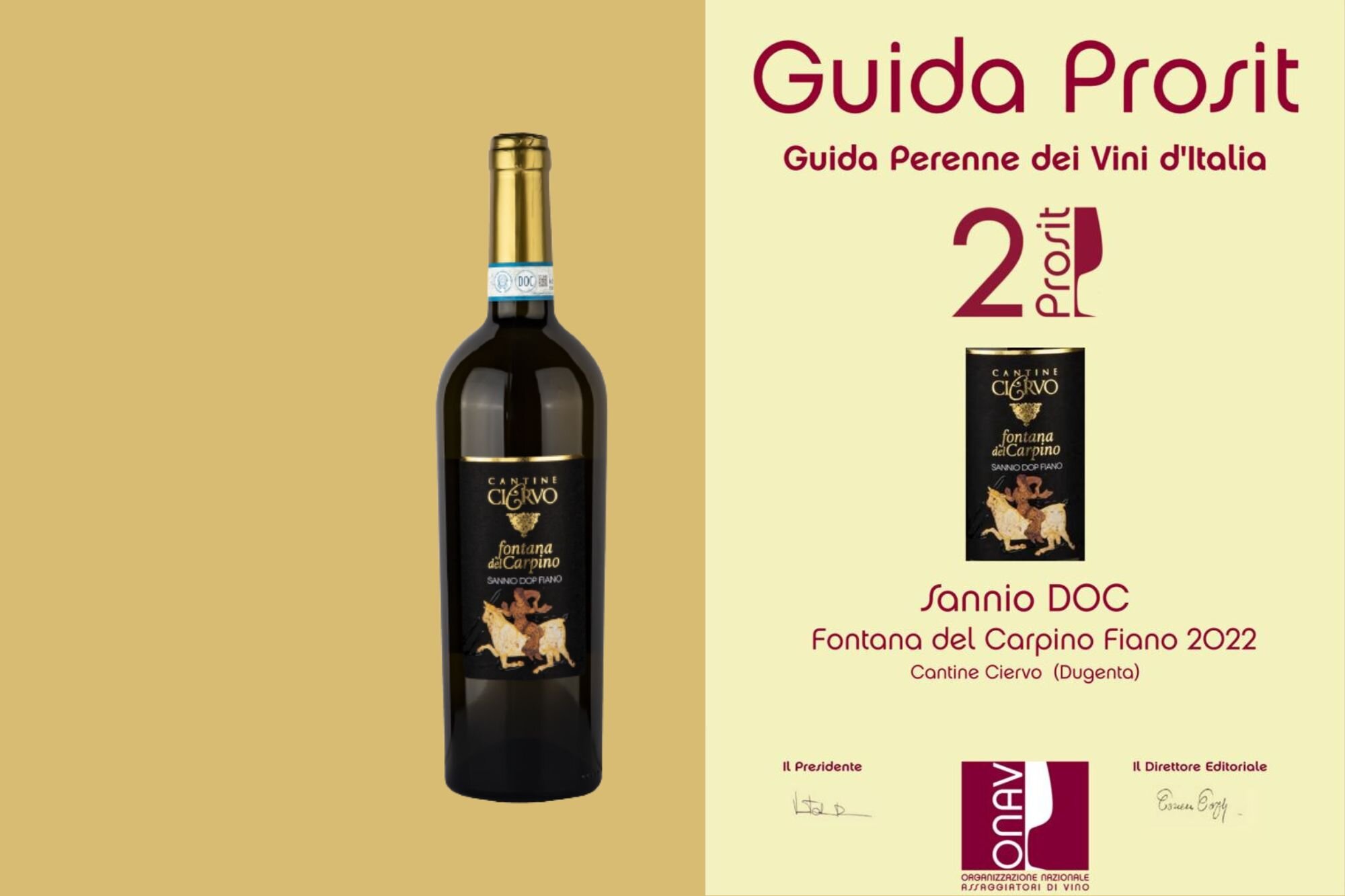 GUIDA PROSIT SANNIO FIANO DOC "FONTANA DEL CARPINO"