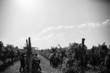 e8978409-3761-4073-8e85-7dc2de267e04