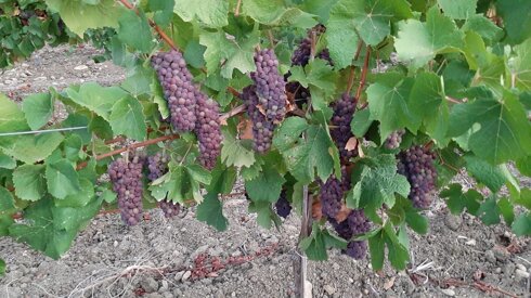 b5942ba3-1d28-4a6f-8b31-e93e3b06192e