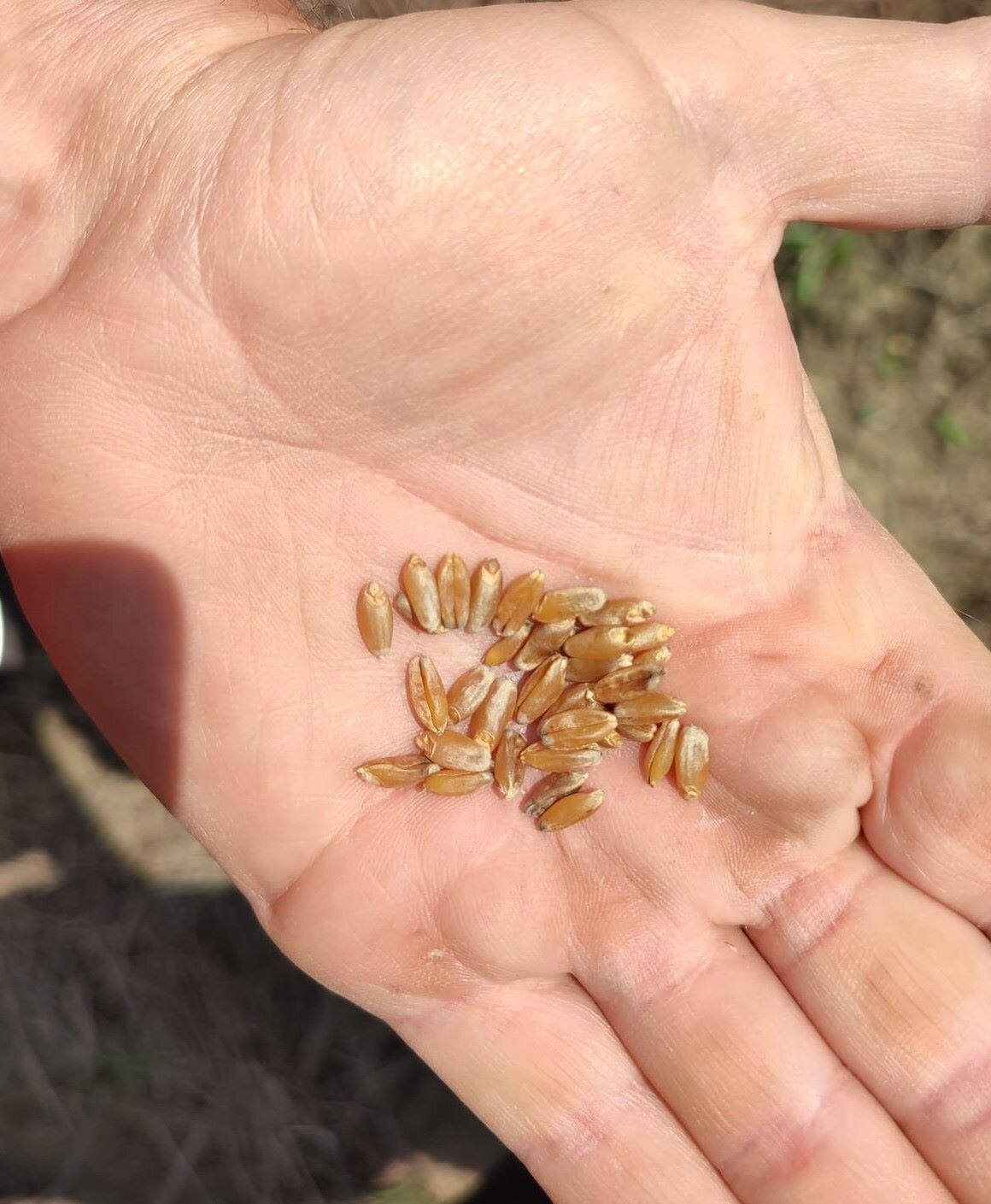 9015f456-975b-4f5b-ae82-61ef6daa8856 9015f456-975b-4f5b-ae82-61ef6daa8856