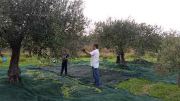 a04cd5ad-3e4c-4ed1-9f89-2c4f50f38e43