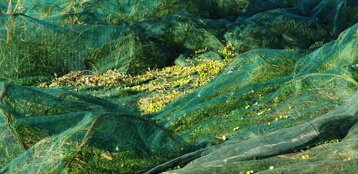 c3b8c888-ce0a-4dae-acba-cd85f8f1d0fa