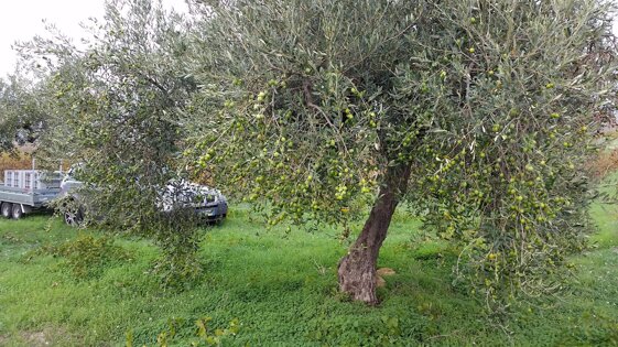 621c5383-64a9-4a32-907a-b426b126bde0