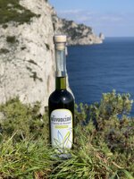 bottiglia-di-liquore-olivoncino-cl-10