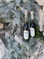 bottiglia-di-liquore-olivoncino-cl-10