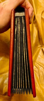 classificatore-leone