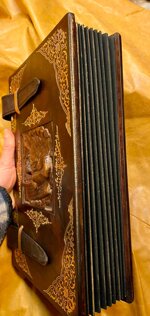 classificatore-leone