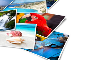 stampa-fotografica-13x18