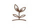 fiore fiore