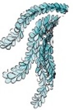 filama-cappello-maglietta-bianca-manica-corta-taglia-l