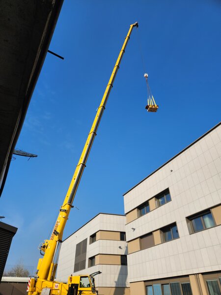 20230322_084119.jpeg 20230322_084119.jpeg