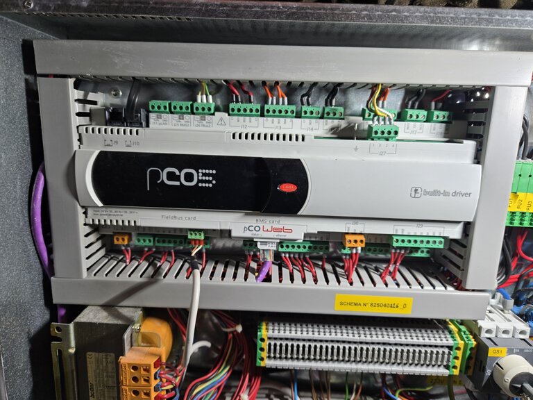 20260216_080858 - copia.jpeg