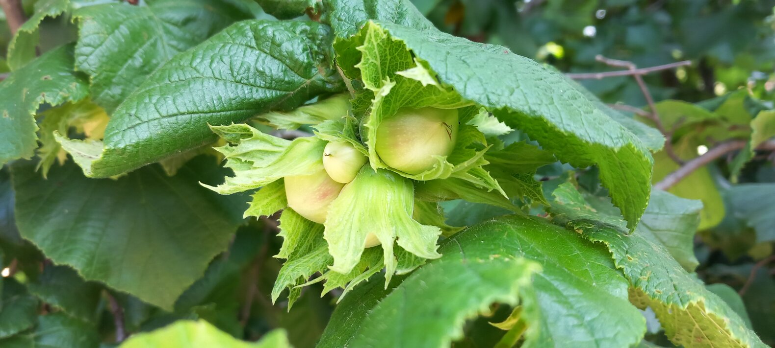 20230611_092559.jpeg 20230611_092559.jpeg