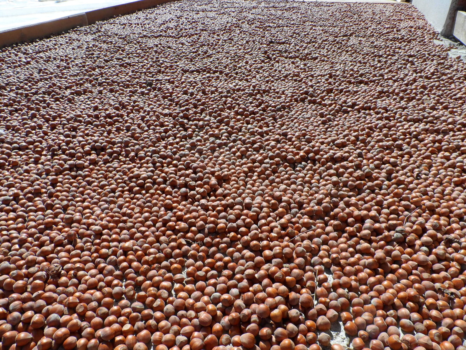 fa074e9f-9aad-4ca9-a8ef-0ca513203549 fa074e9f-9aad-4ca9-a8ef-0ca513203549