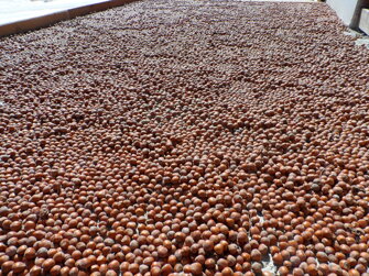 fa074e9f-9aad-4ca9-a8ef-0ca513203549