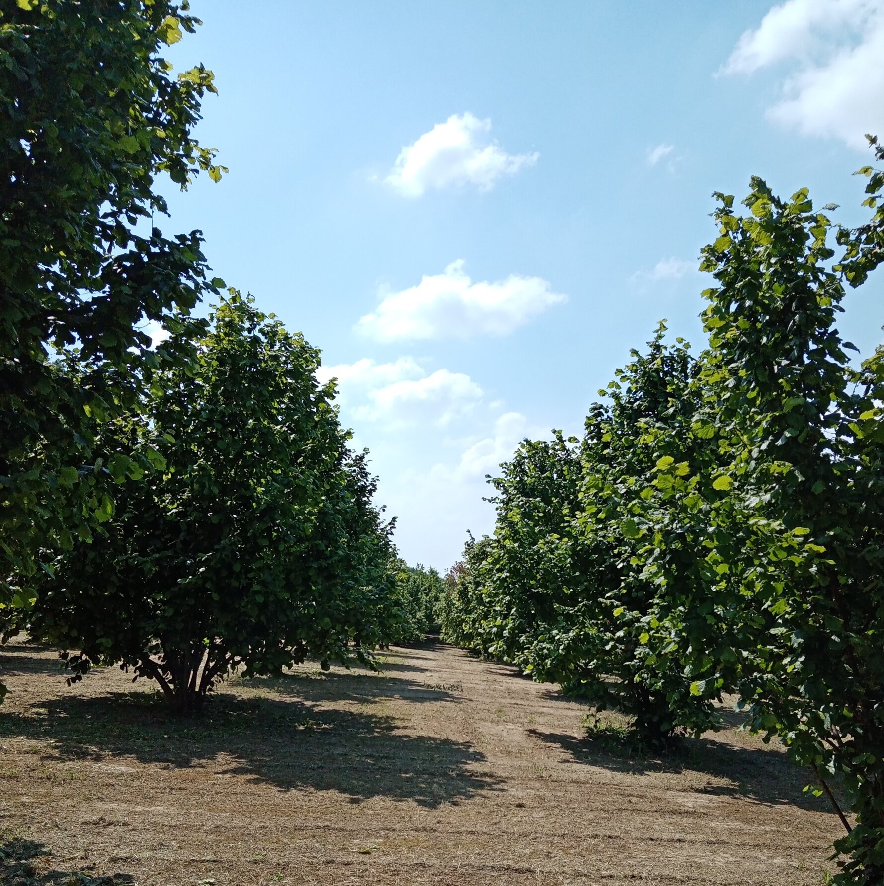 img_20210528_151449 1.jpeg