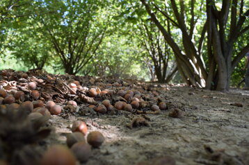 28ecb978-3ebd-4894-a285-0765f81ef938