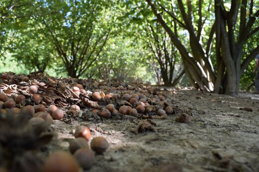 605b32915ad1c35face9571c1756eca8f873b153