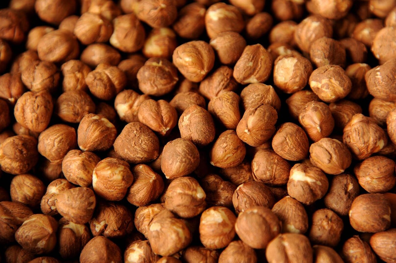 e892b57d-9564-4d82-8180-4212192e6b50