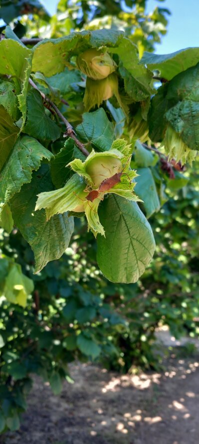 20230624_105057.jpeg 20230624_105057.jpeg