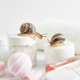 Cosmetici alla bava di lumaca Creme cosmetiche a base di bava di lumaca