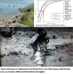 nora sott'acqua con eustografico e e nicola porcu.jpeg nora sott'acqua con eustografico e e nicola porcu.jpeg