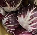 radicchio