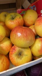 mele-renette-rosse-sudtirol