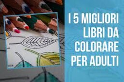 49f942ff-a2ff-4c49-a335-7f2382fc335e