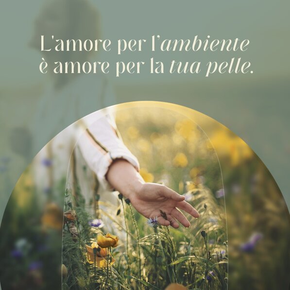 b8a0ed3a-9012-4d70-bf31-53b5e4c08386